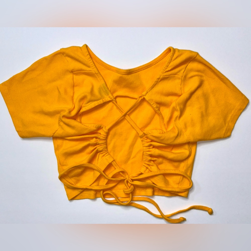 Wild Fable Crop Top